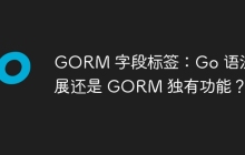 GORM 字段标签：Go 语法扩展还是 GORM 独有功能？