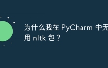 为什么我在 PyCharm 中无法使用 nltk 包？