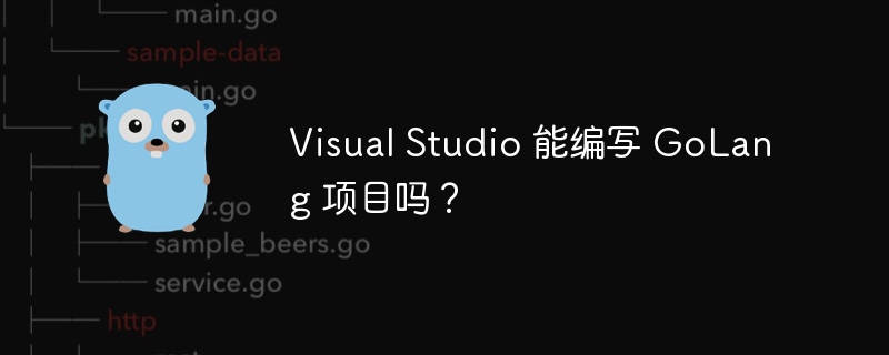 visual studio 能编写 golang 项目吗？