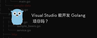 Visual Studio 能开发 Golang 项目吗？