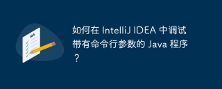 如何在 IntelliJ IDEA 中调试带有命令行参数的 Java 程序？