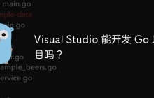 Visual Studio 能开发 Go 项目吗？