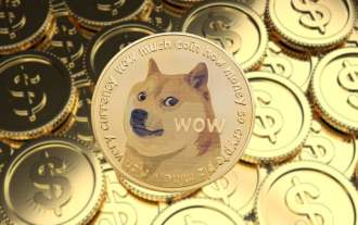 Dogecoin (DOGE) augmente de 6 % après qu'Elon Musk ait mentionné l'acronyme du « Department of Government Efficiency » (DOGE) lors du podcast de Joe Rogan