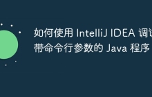 如何使用 IntelliJ IDEA 调试带命令行参数的 Java 程序？