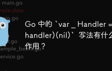 Go 中的 `var _ Handler = (*handler)(nil)`  写法有什么作用？