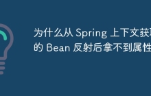 为什么从 Spring 上下文获取的 Bean 反射后拿不到属性？