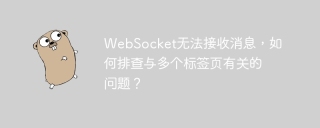 WebSocket无法接收消息，如何排查与多个标签页有关的问题？