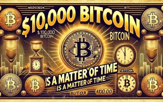 Le prix du Bitcoin (BTC) pourrait atteindre un nouveau sommet environ un an après les prochaines élections américaines