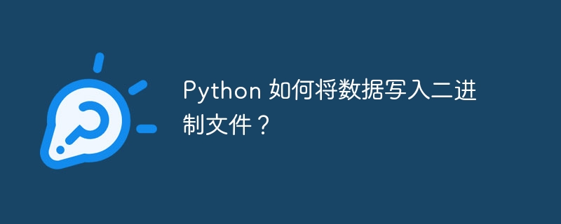 python 如何将数据写入二进制文件？