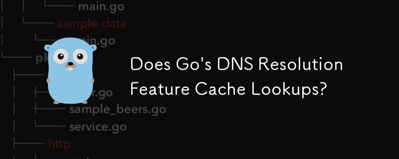 Does Go\'s DNS Resolution Feature Cache Lookups?