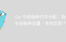Go 中结构体内存分配：指针与结构体变量，有何区别？