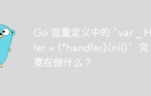 Go 变量定义中的 `var _ Handler = (*handler)(nil)`  究竟在做什么？