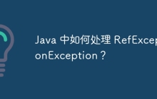 Java 中如何处理 RefExceptionException？