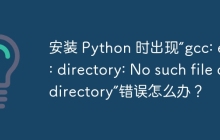 安装 Python 时出现“gcc: error: directory: No such file or directory”错误怎么办?