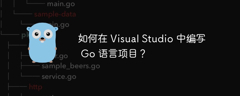 如何在 visual studio 中编写 go 语言项目？