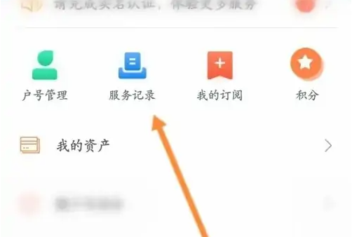 网上国网app在哪查缴费记录