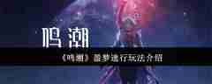 《鸣潮》盈梦速行玩法介绍