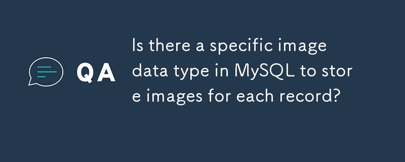 Is there a specific image data type in MySQL to store images for each record?