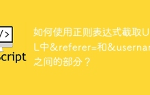 如何使用正则表达式截取URL中&referer=和&username之间的部分?