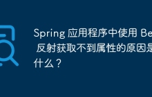 Spring 应用程序中使用 Bean 反射获取不到属性的原因是什么？
