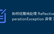 如何优雅地处理 ReflectiveOperationException 异常？