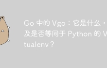 Go 中的 Vgo：它是什么，以及是否等同于 Python 的 Virtualenv？