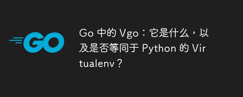 go 中的 vgo：它是什么，以及是否等同于 python 的 virtualenv？