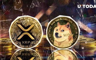 Meme Coin Dogecoin (DOGE) Surpasses XRP by Market Capitalization