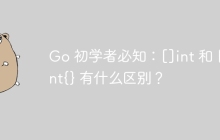 Go 初学者必知：[]int 和 []int{} 有什么区别？