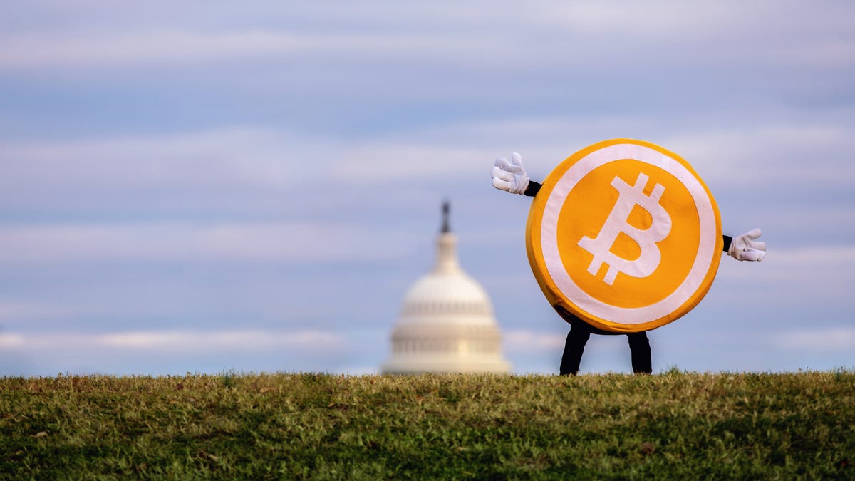 The Crypto Community Is Cheering Trump’s Election Victory, and So Are Crypto Stocks