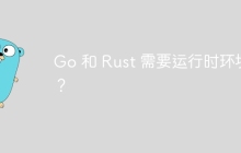 Go 和 Rust 需要运行时环境吗？