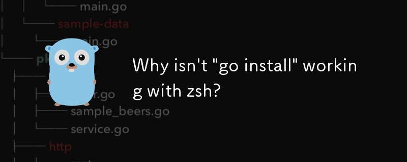 「go install」が zsh で機能しないのはなぜですか?