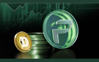 PropiChain (PCHAIN) 预售成为最值得购买的新山寨币,逆市下跌