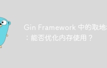Gin Framework 中的取地址符：能否优化内存使用？
