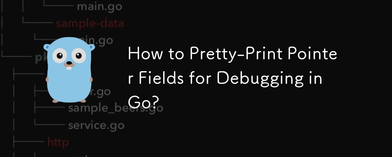 Wie drucke ich Zeigerfelder für das Debuggen in Go hübsch aus?