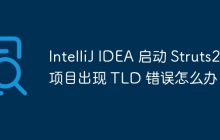 IntelliJ IDEA 启动 Struts2 项目出现 TLD 错误怎么办？