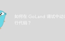如何在 GoLand 调试中动态执行代码？