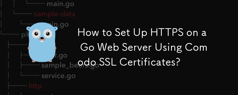 如何使用 Comodo SSL 憑證在 Go Web 伺服器上設定 HTTPS？