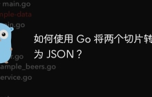 如何使用 Go 将两个切片转换为 JSON？