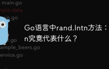 Go语言中rand.Intn方法：Intn究竟代表什么？