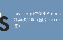 Javascript中使用Promise解决异步加载（图片、css、js等）