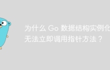为什么 Go 数据结构实例化后无法立即调用指针方法？