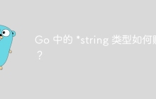 Go 中的 *string 类型如何赋值？