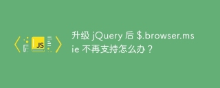 升级 jQuery 后 $.browser.msie 不再支持怎么办?
