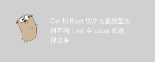 go 和 rust 切片长度类型为何不同:int 与 usize 的选择之争