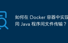 如何在 Docker 容器中实现不同 Java 程序间文件传输？