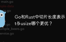 Go和Rust中切片长度表示：int与usize哪个更优？