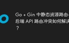 Go + Gin 中静态资源路由与后端 API 路由冲突如何解决？