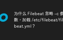 为什么 Filebeat 忽略 -c 参数，加载 /etc/filebeat/filebeat.yml？