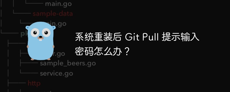 系统重装后 Git Pull 提示输入密码怎么办？